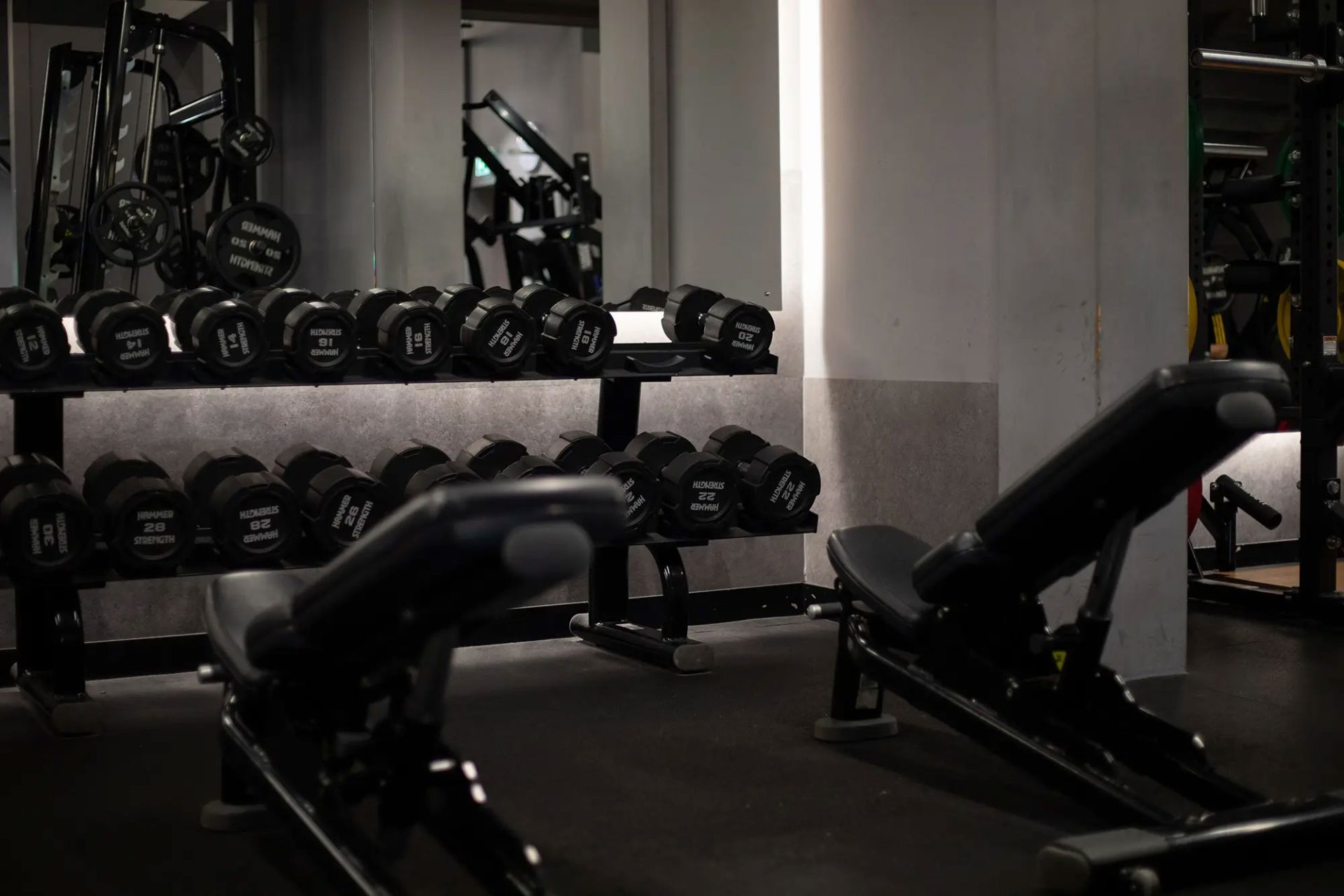 horizon_guildford_weights_section